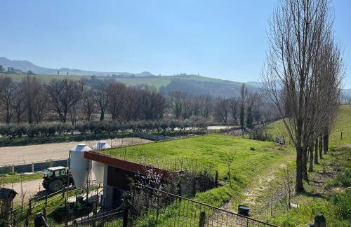 Agriturismo Ca' Belluccio - Foto 7