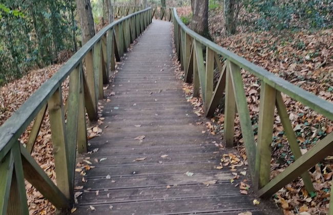 La Jomeruca - Foto 17