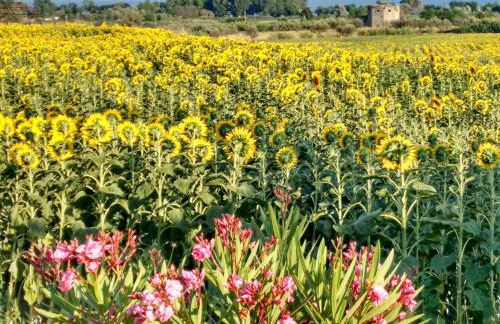 Agriturismo La Villetta - Foto 20