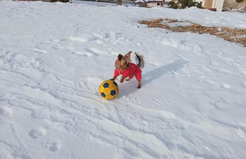 Tra sogni e realtà Roccaraso - Foto 23