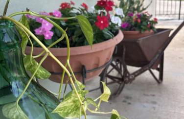 Casetta a Cavarretta - Foto 9