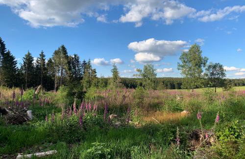 FaFeWo Ferienwohnungen mit Sternekomfort in Tanne Harz - Foto 48