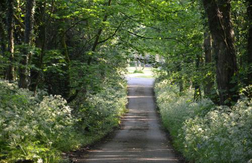 Green Farm Stables - Foto 40