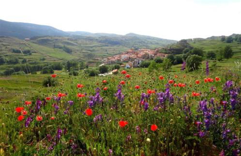 Casa Beatriz Valdelinares - Foto 37