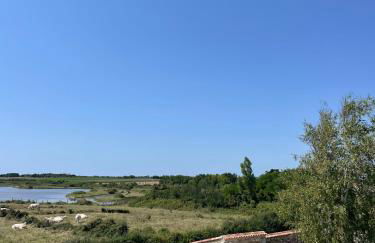 Villa luxueuse rénovée à la Guittière - Foto 42