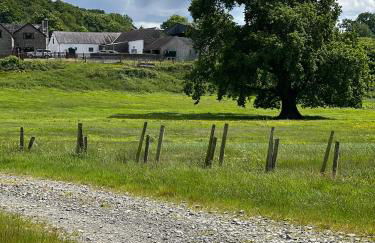 Cwmgwn Farm - Foto 43