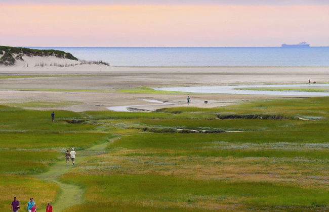 Well-kept Apartment, a Stone's Throw From the sea on Texel - Foto 36