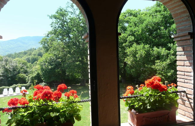 Agriturismo Colli di Travale - Foto 47