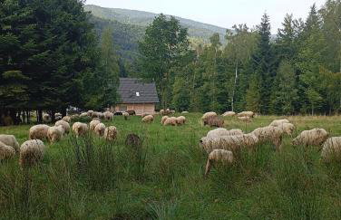 Zielone Wzgórze - Foto 71
