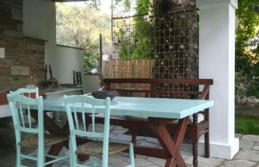 Almira Kalamos - Foto 12