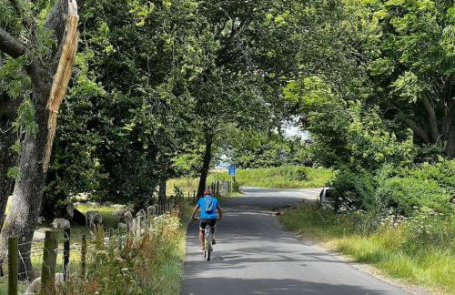 The Workshop - Foto 26