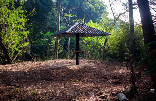 Polo Hotel Fazenda - Foto 41