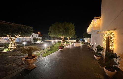 Home Olympus Vesuvio - Photo 58