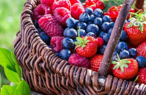 Wood log chalet - Foto 66