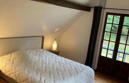 Retraite Paisible au Cœur de la Forêt de Rambouillet avec Étang Privé et Charme Authentique - FR-1-527-8 - Foto 36