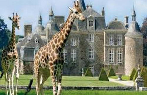 Les cottages du golf - Foto 30