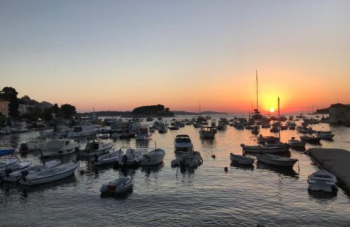 Apartments Sunny Elza - Foto 52