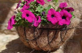 A casiña do Pozo - Foto 5