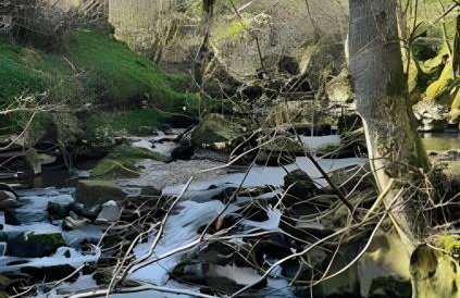 Cozy Cottage in Caldbeck - Foto 14