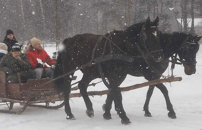 tuŻur Domki Nad Potokiem - Foto 21