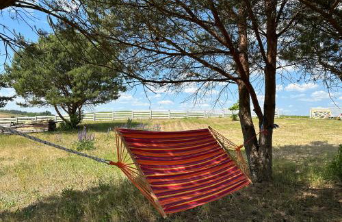 Giżycko-Przerwanki Domki Widok na Mazury - Foto 69