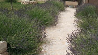 Casa Rural Alamar II - Foto 3