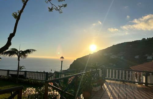 Tropical Garden - Photo 16