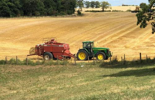 Moo Cow Cottage Self Catering - Photo 40