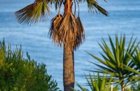 Apartamento en Benalmádena - Coloso - Foto 57