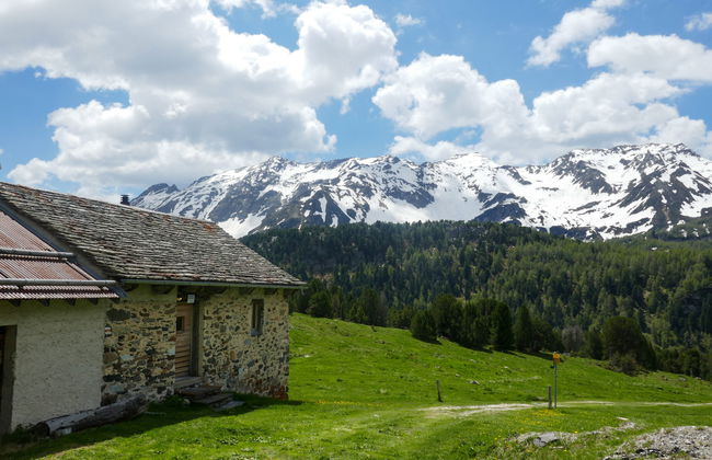 Rustico Dolomia - Foto 5