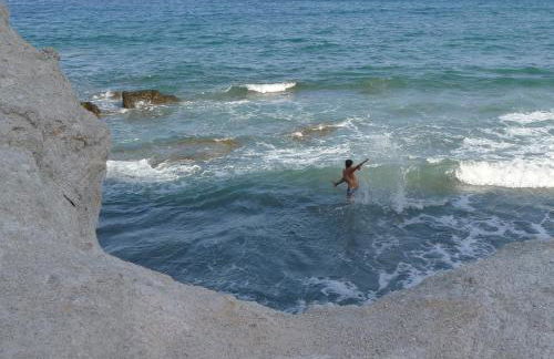 La Posidonia - Foto 63