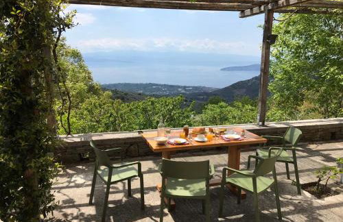 House Gecko - Mount Pelion - Foto 2