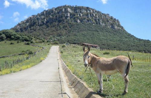 Smart Apartments Facinas, Piscina y tranquilidad cerca de Tarifa y Bolonia - Foto 49