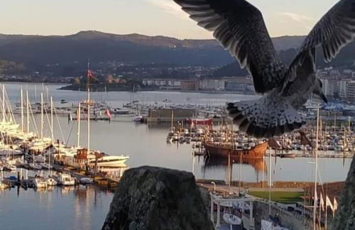 Relax! en Galicia disfruta de playa y Montaña - Foto 23
