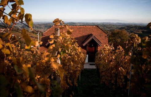 Cozy Home In Vrhi Vinagorski - Foto 16