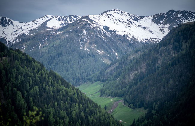 Appartmenthaus Gutwenger Selmerhof - Foto 54