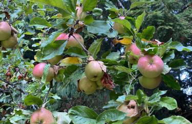 Perch - Island Hideaway - Foto 52