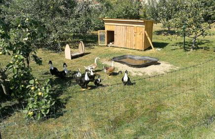 Jennys Hofladen - Foto 11