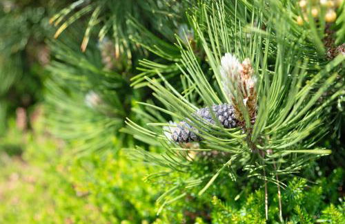 Fewo Kohler - Foto 23