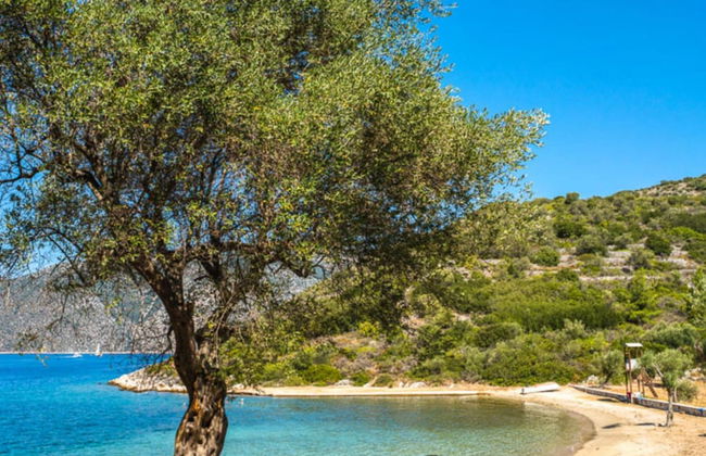 Loutsa Waterside in Vathy - Foto 7