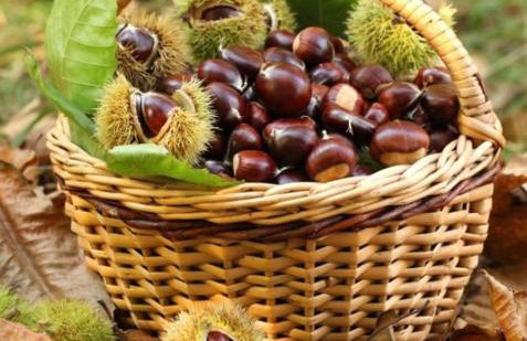 La Casa del Mugnaio - Foto 16