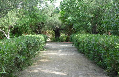 TheNi Olive Grove Villa - Foto 18