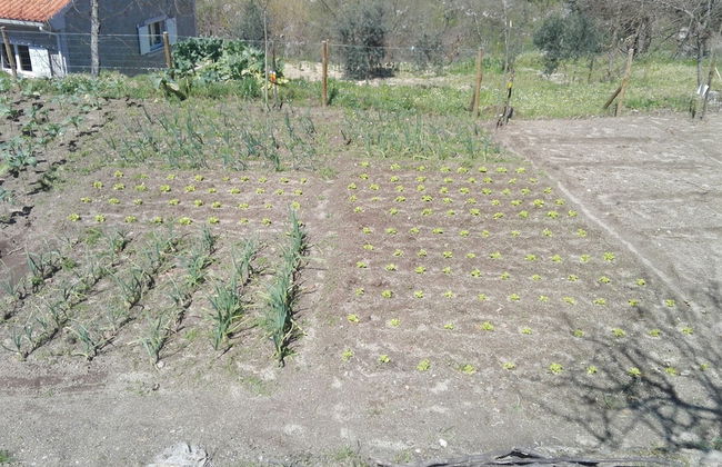 I Love Dão - Casas Da Fraga - Foto 50