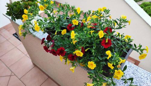 Apartments Drpic - Foto 3