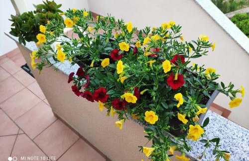 Apartments Drpic - Foto 3