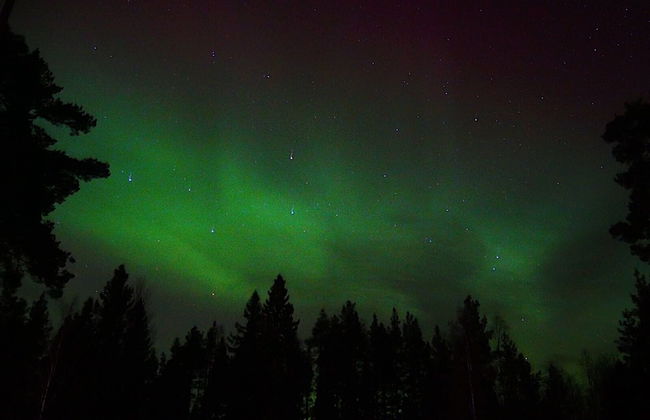 Vildmarks Lodge - Photo 63