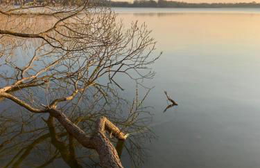Landhaus am See mit Strandkorb in Scharbeutz - Foto 19