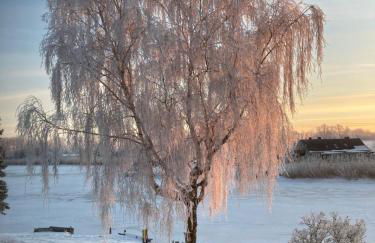 Feriendomizil Wohltat - Foto 38