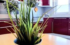 Ferienhaus Antiquarius - Foto 22