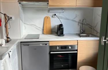 Mignon petit Studio 25m2 avec balcon et Parking face départ pistes ! - Foto 5